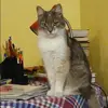 Отзыв от Анжела Антипова